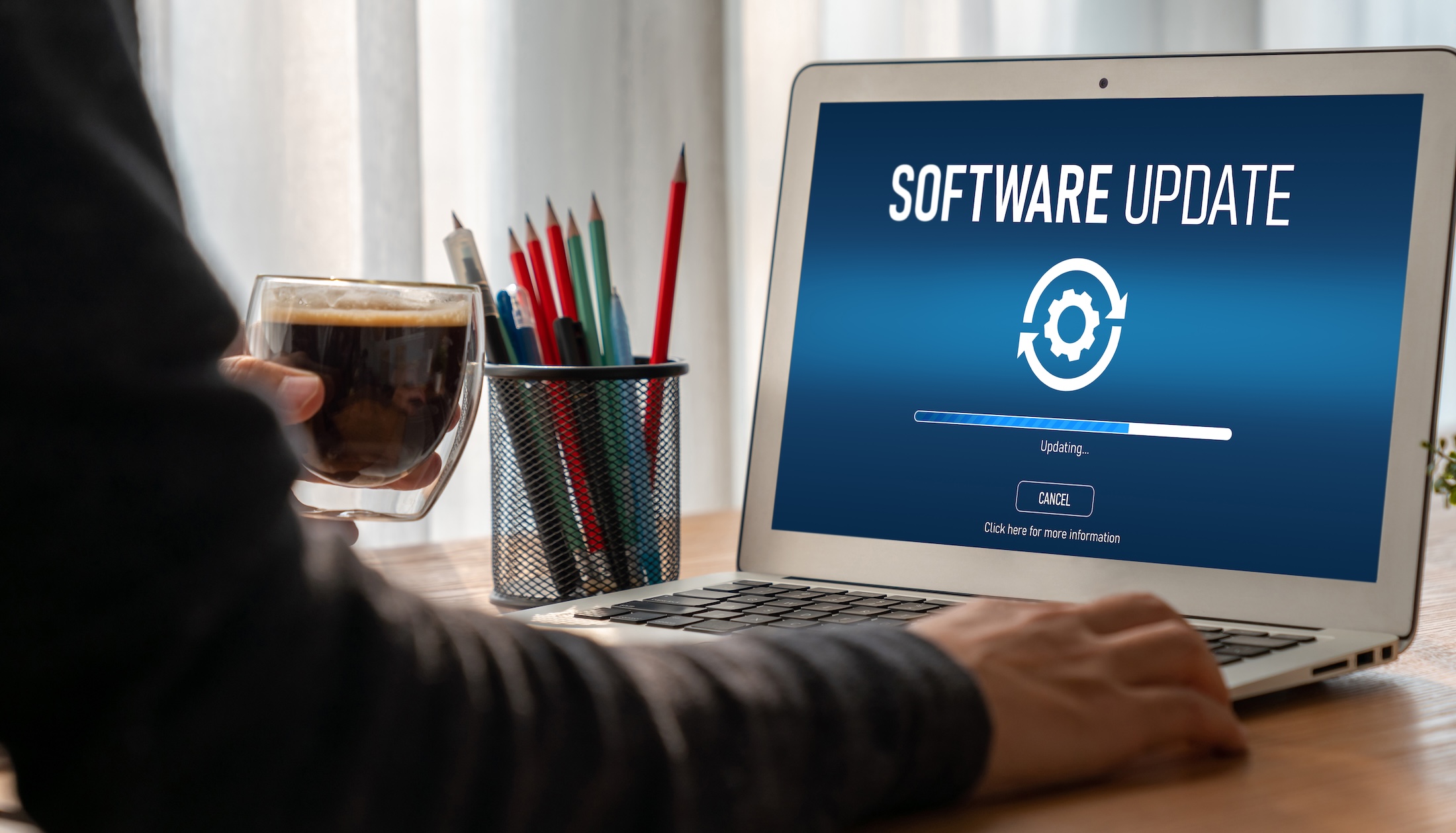 WordPress Update Support